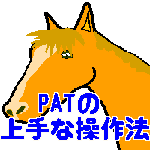 PAT̏Ȏg